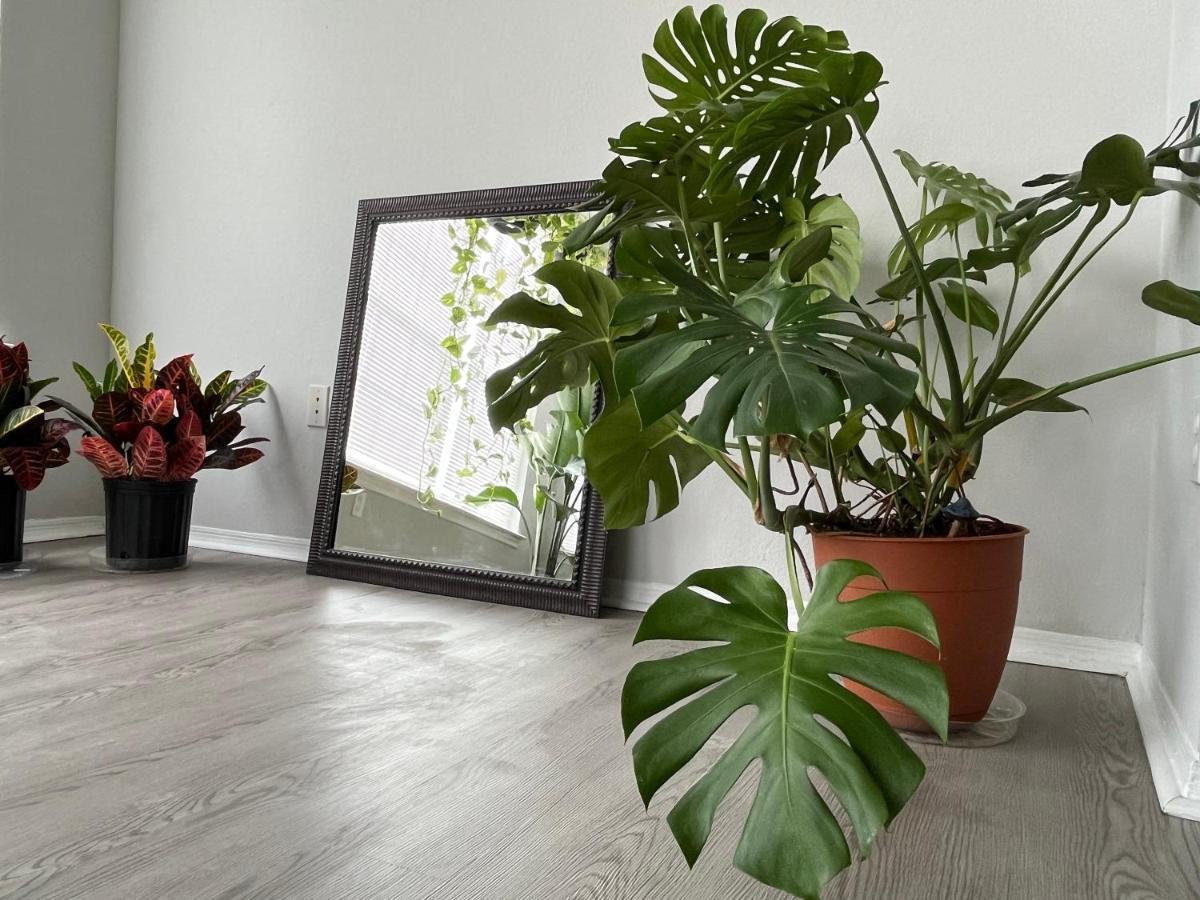 Next To Universal! 2Bedroom-2Bath-Many Indoor Plants Orlando Buitenkant foto